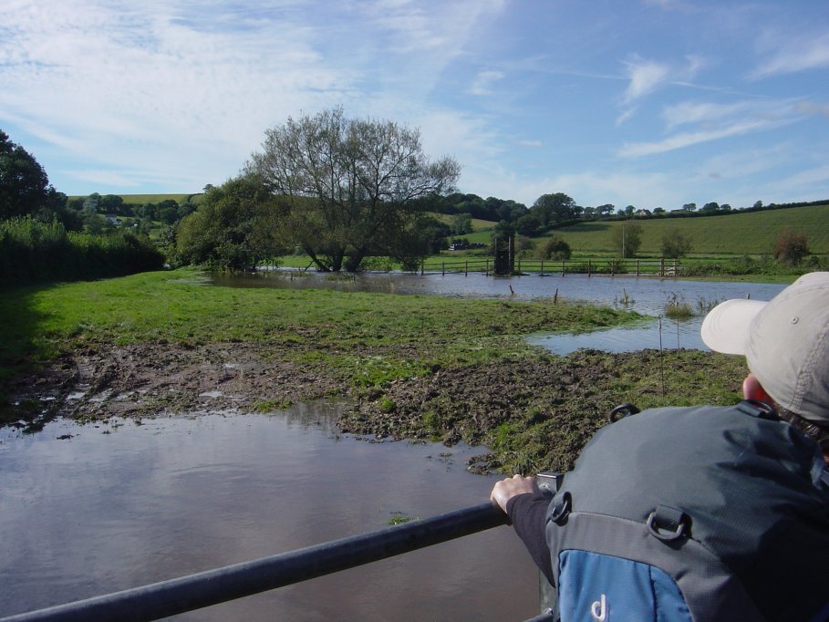 Blocked by river flooded near Colyton